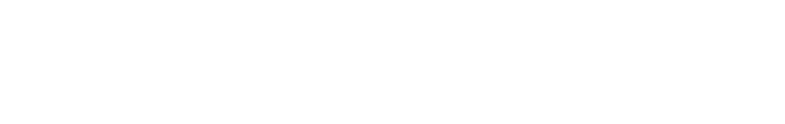 Aurionpro Stripr Logo 006